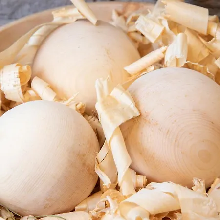 Hotel Alphof Alpbach